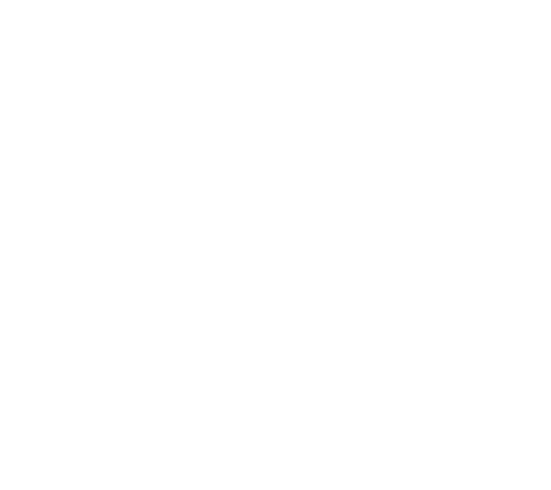 レコードの歴史・文化の継承をモットーとする老舗レコード店